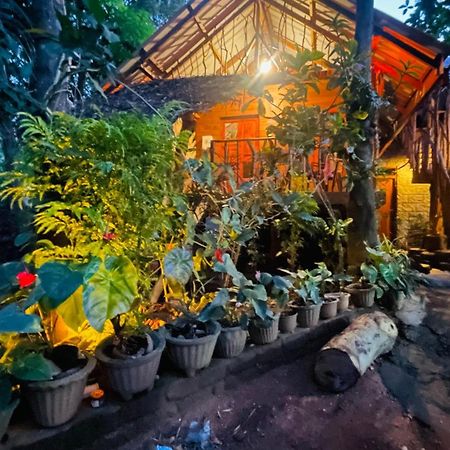 Shan Home Stay Sigiriya Exteriör bild